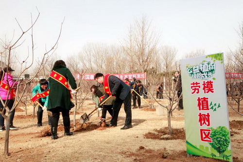 植树1.jpg